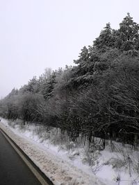 Snow covered road by trees in forest against clear sky