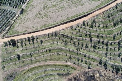 Aerial view of agriculture field. great landscape. countryside and rural scene.