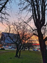 Bare trees in city against sky