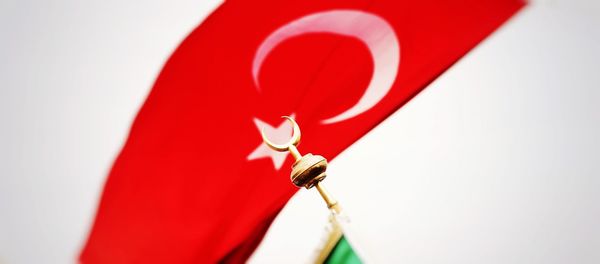 Close-up of red flower against white background