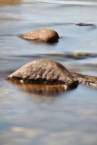 Close-up of rocks by lake