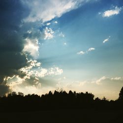 Low angle view of silhouette trees against sky