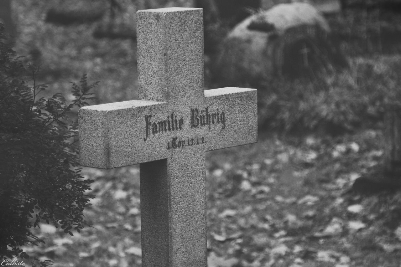 communication, text, focus on foreground, grave, religion, sign, cross, no people, spirituality, plant, day, belief, cemetery, tombstone, close-up, stone, tree, nature, direction, outdoors, guidance