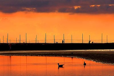 Scenic view of orange sky