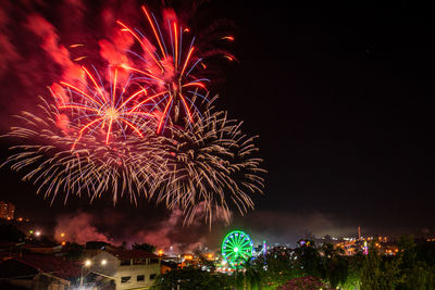 Firework display in sky at night