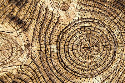 Full frame shot of abstract background