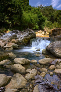 Scenic view of waterfall in forest