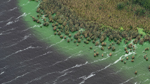 High angle view of beach