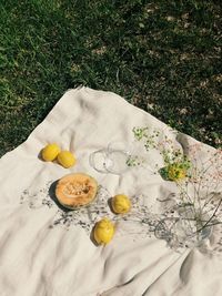 High angle view of lemon and muskmelon on picnic blanket