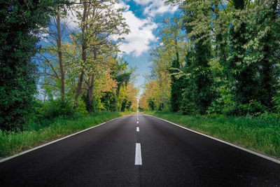 Empty road amidst trees against sky