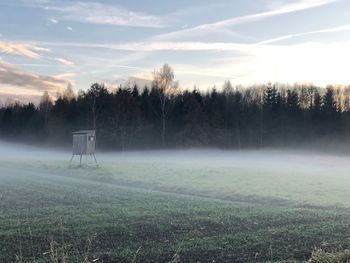 Trees on field against sky