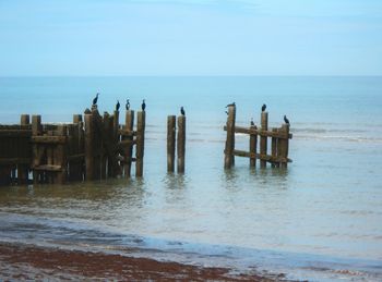 Scenic view of sea against clear sky