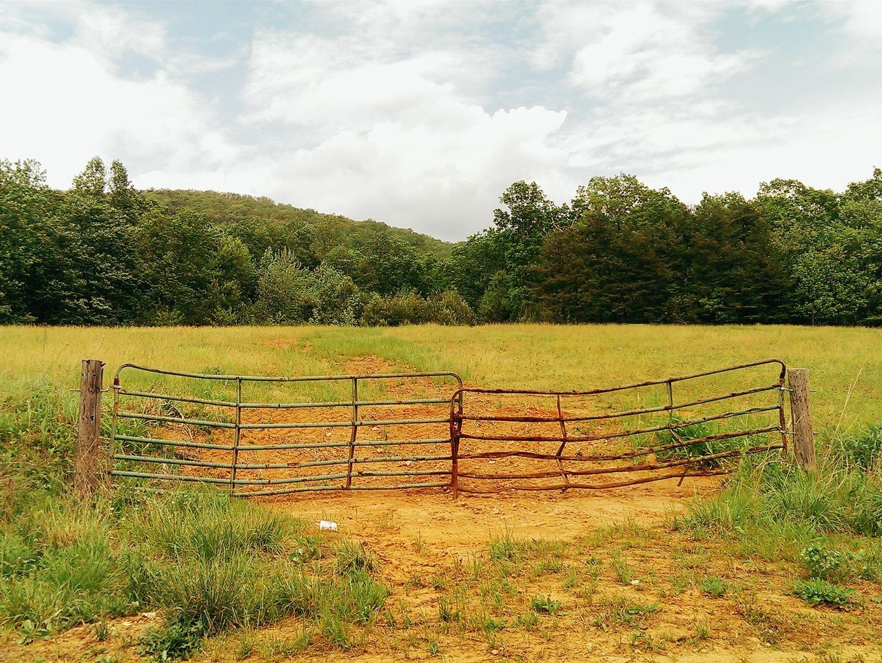 Gate and field