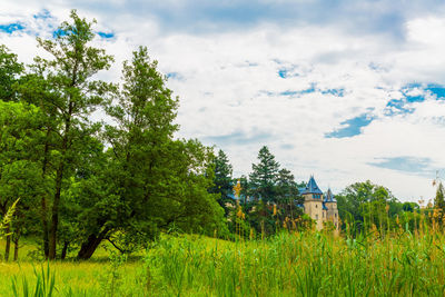 Trees on field against sky