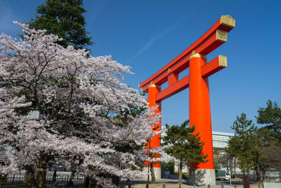 Low angle view of cherry blossoms against sky