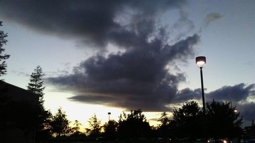 Low angle view of trees against cloudy sky