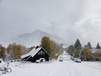 Snow covered houses by trees against sky