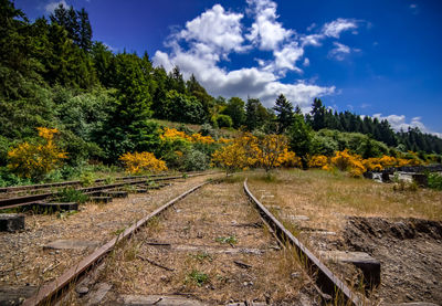 Railroad track amidst trees against sky