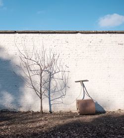 Pitch roller and bare tree on field against wall