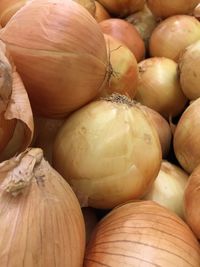Close-up of pumpkins at market