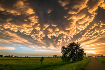 Mammatus clouds at the back of a nebraska thunderstorm