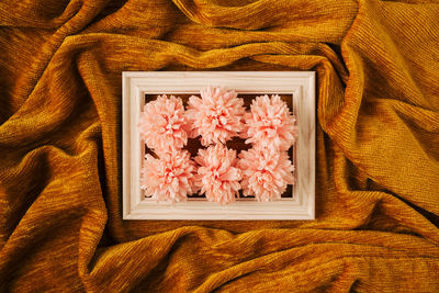 High angle view of pink flowering plant