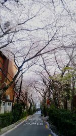 Road passing through city