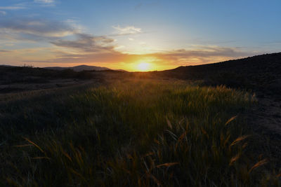 Scenic view of field against sky during sunset