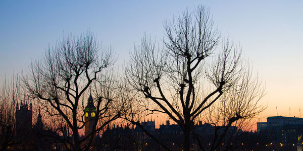 Bare trees against sky at sunset