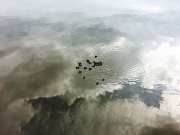 Close-up of sea against sky