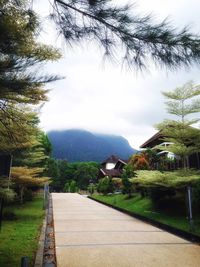 Empty footpath leading towards mountain