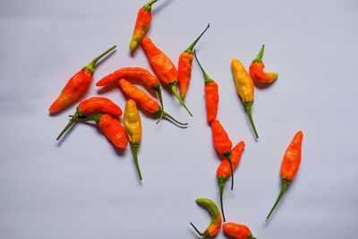 Close-up of orange chili pepper against white background
