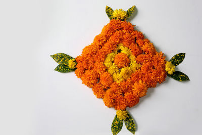 Directly above shot of orange leaf on white background