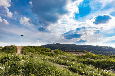 Scenic view of landscape against sky