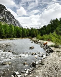 Scenic view of river in forest against sky