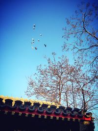 Low angle view of roof against sky