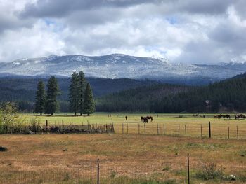 Snow dusted mountains 