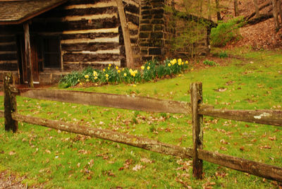 Fence on grassy field