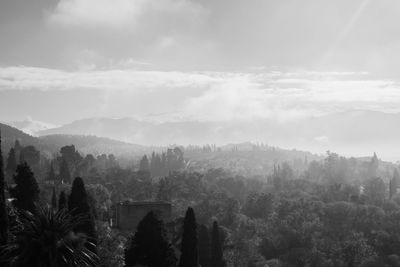 Panoramic shot of trees on landscape against sky