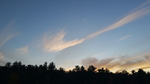 Low angle view of trees against sky