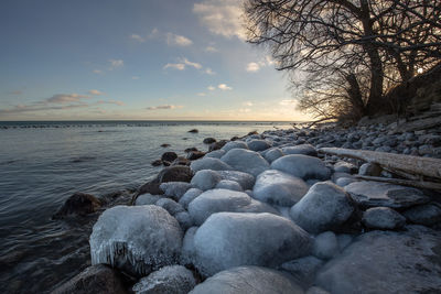Ice covered rocks on lake ontario shore