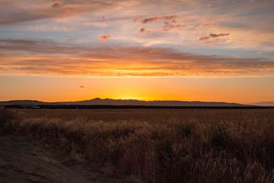 Scenic view of field against sky during sunset