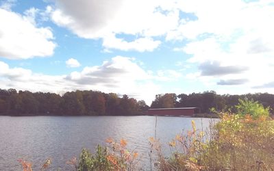 Calm countryside lake against trees