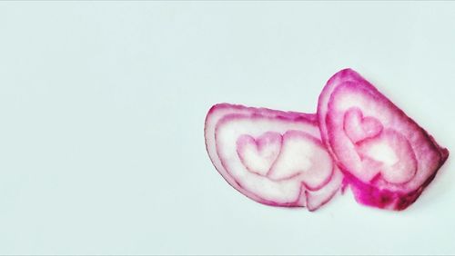 Close-up of red rose over white background