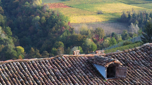 High angle view of house and trees in forest