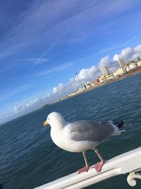 Seagull perching on a sea against sky