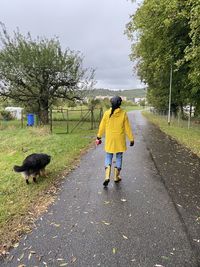 Woman with yellow raincoat walking with dog on rainy day.