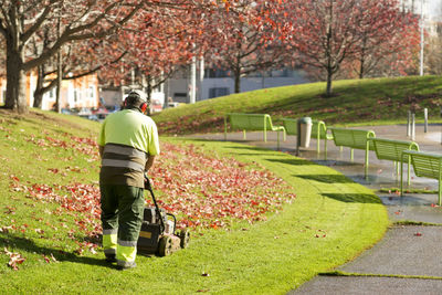 Rear view of gardener working in park during autumn