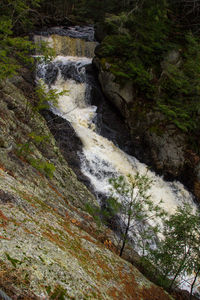 Scenic view of waterfall in forest