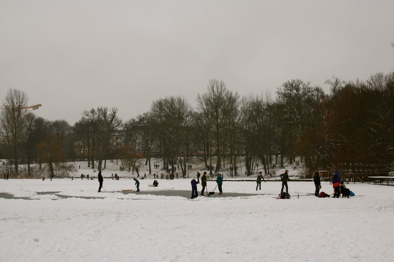 winter, cold temperature, snow, tree, nature, people, day, men, outdoors, real people, sky, adult, adults only, only men